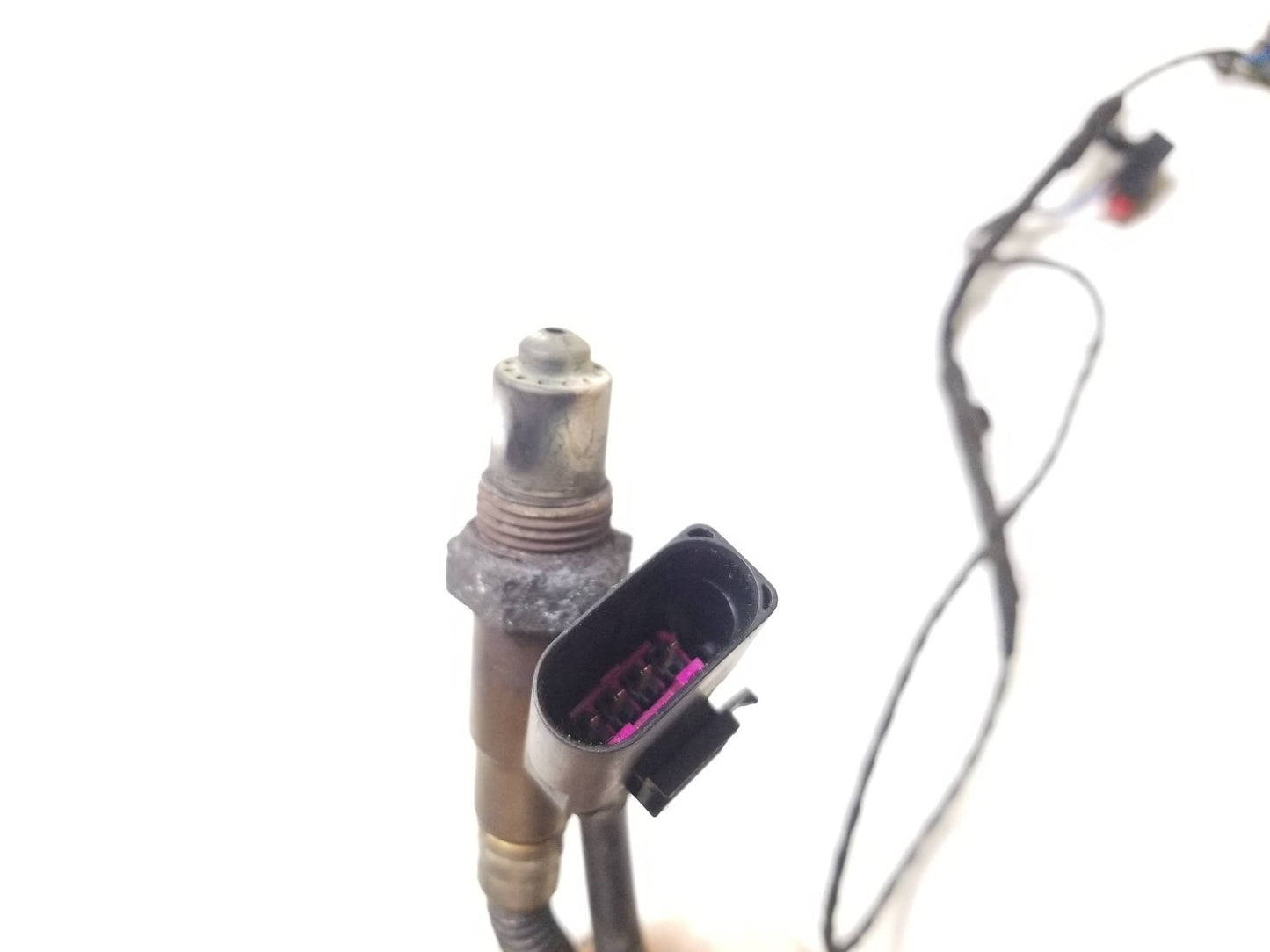 2010 - 2014 VW Golf GTI Oxygen Sensor OEM