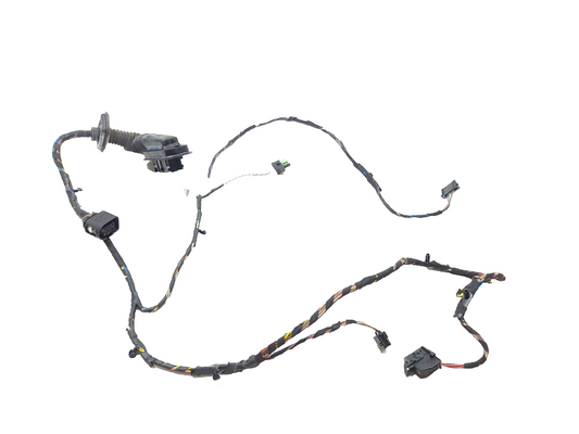 2007 - 2013 BMW X5 E70 Door Wire Harness Front Driver Side Left OEM