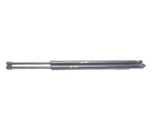 2011 - 2020 Dodge Grand Caravan Trunk Lid Shock Strut Support Pair OEM
