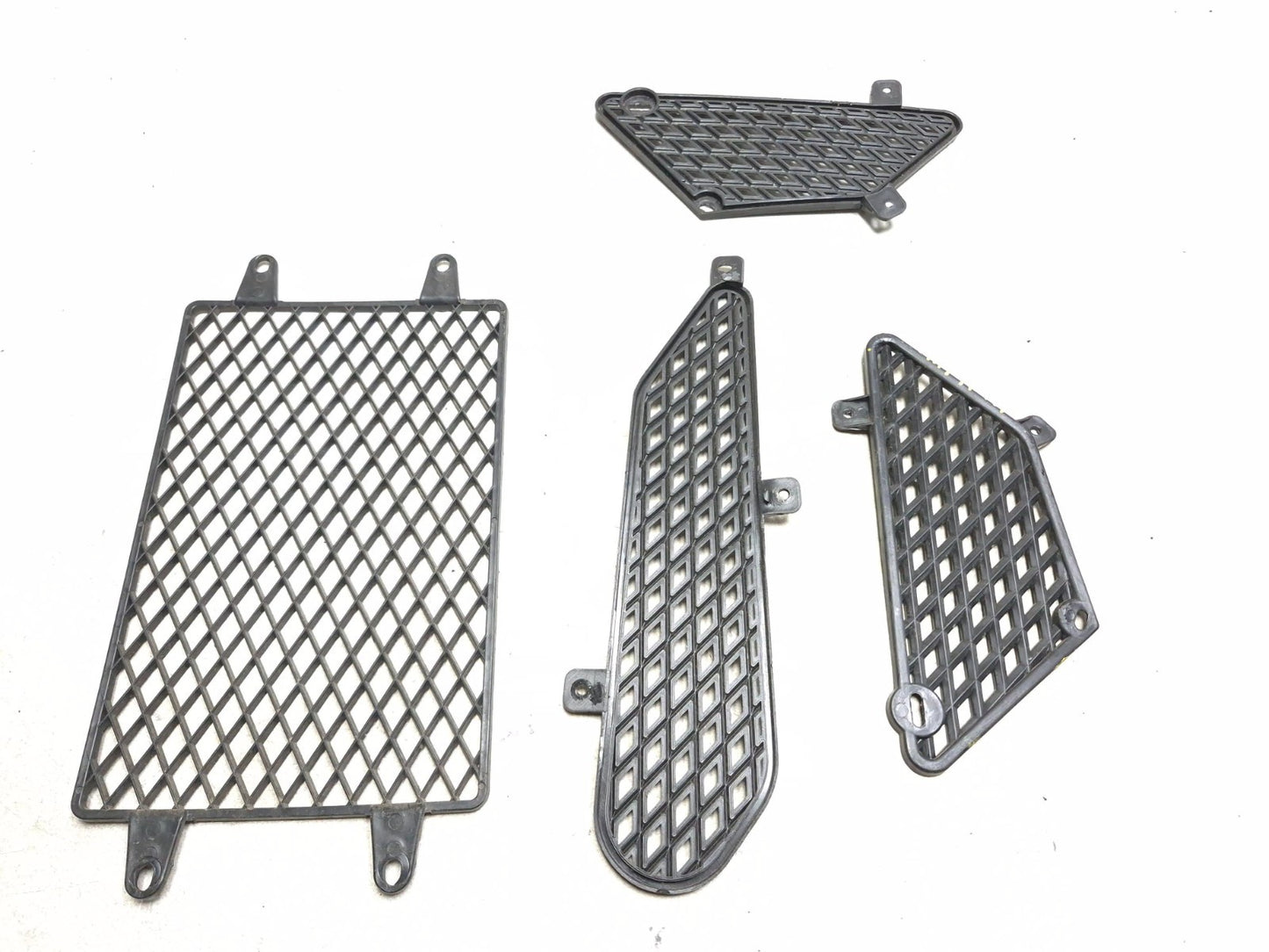 2025 Dongfang Df200stg Side & Center Fairing Guard 4 Pcs OEM