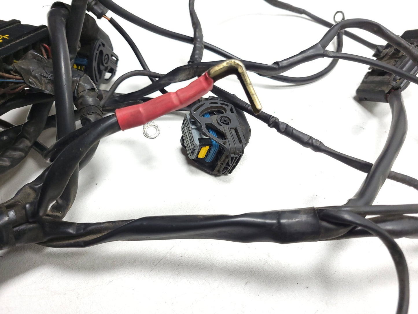 02-06 Ducati Monster M600 620 Main Wire Harness OEM