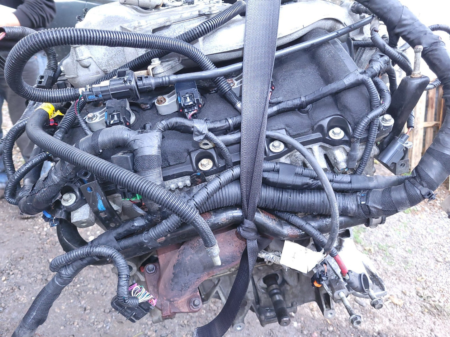 Cadillac CTS Engine 2008 2009 2010 2011 2012 2013 3.6l Code Llt β
-need Harness!