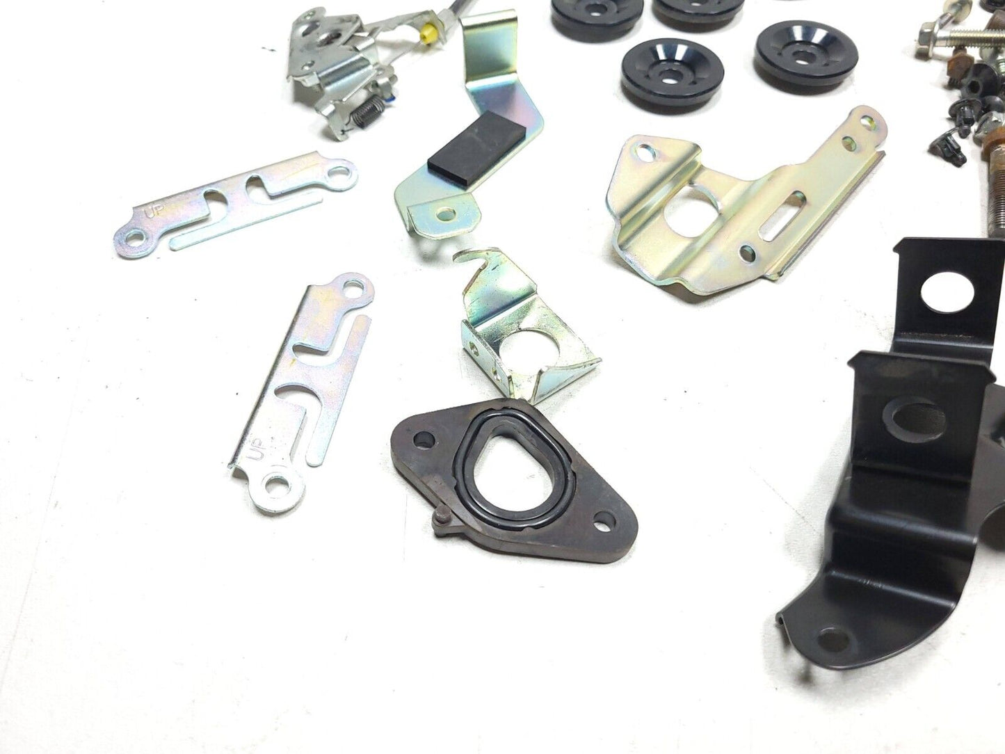2022 - 2024 Honda Grom 125 Misc Bolt Hardware Screw Nuts Bracket OEM