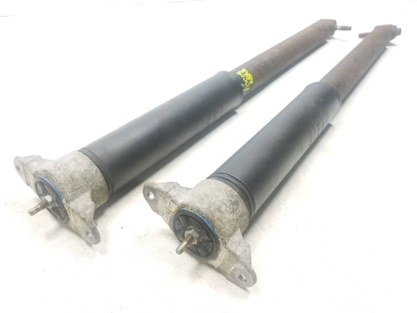 12 - 14 Ford Focus Rear Shock Strut Absorber Pair OEM