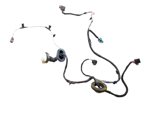 2010 2011 Chevrolet Equinox Door Wire Harness Rear Passenger Side Right OEM