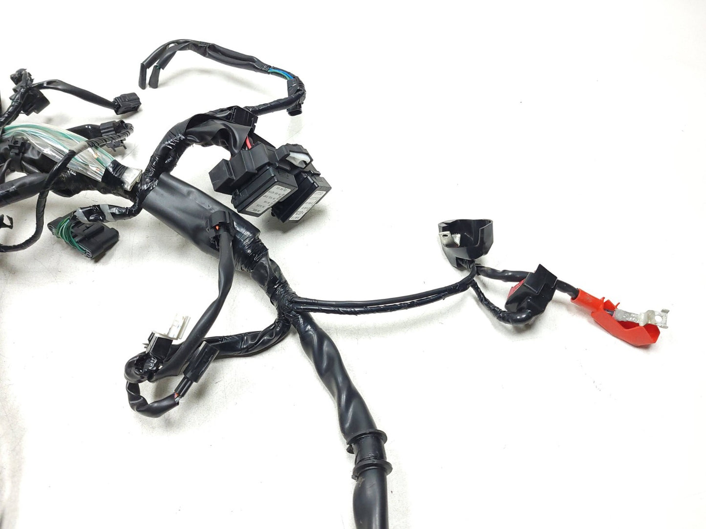 19-25 Honda Cbf300 Na Main Wire Harness W/ Yaw Rate Sensor OEM 264 Miles