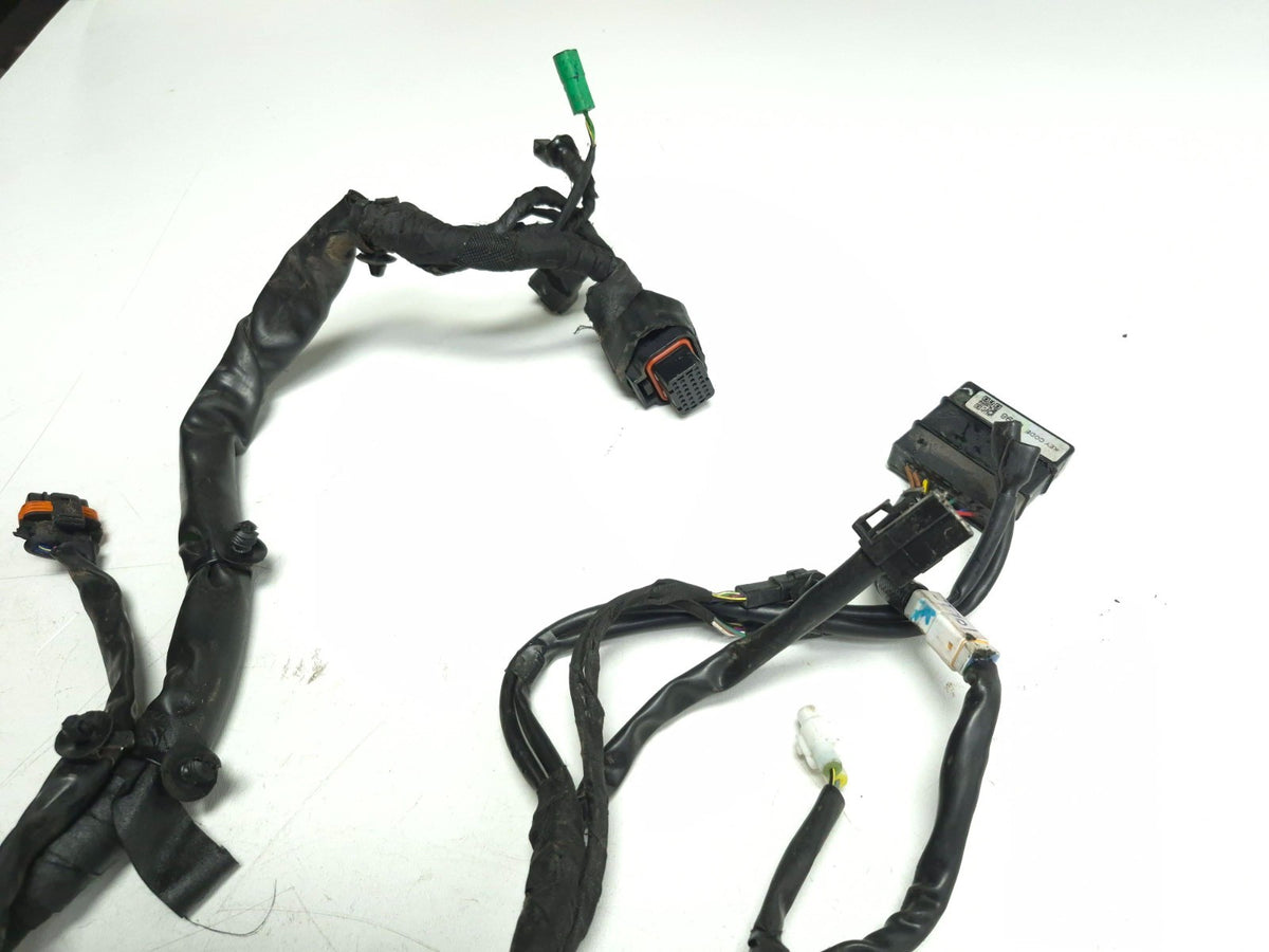 2024 Triumph Speed 400 Main Wire Harness OEM