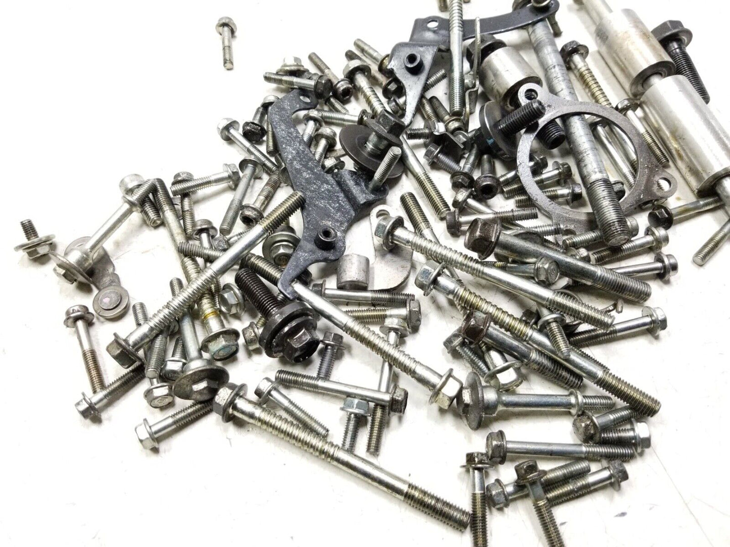 2014 - 2018 Honda Cbr650f Engine Bolt OEM