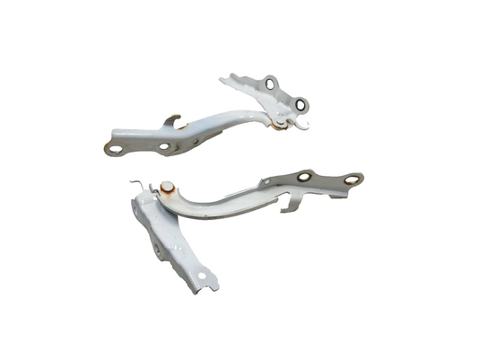 2005 - 2010 Scion Tc Front Hood Bonnet Hinge Pair OEM