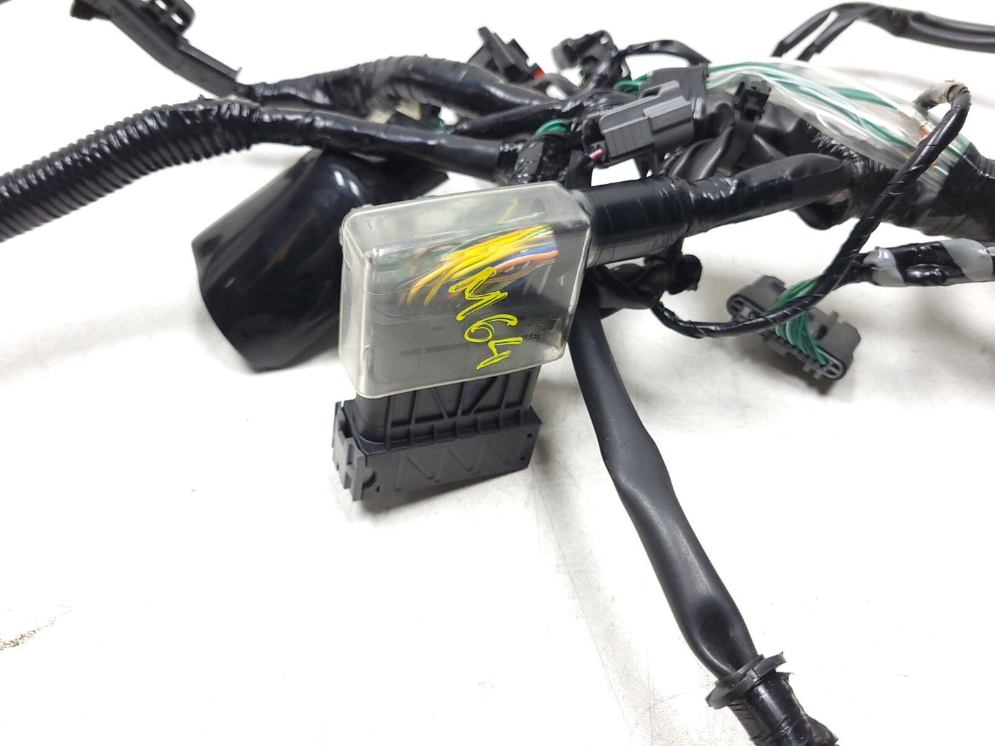 19-25 Honda Cbf300 Na Main Wire Harness W/ Yaw Rate Sensor OEM 264 Miles