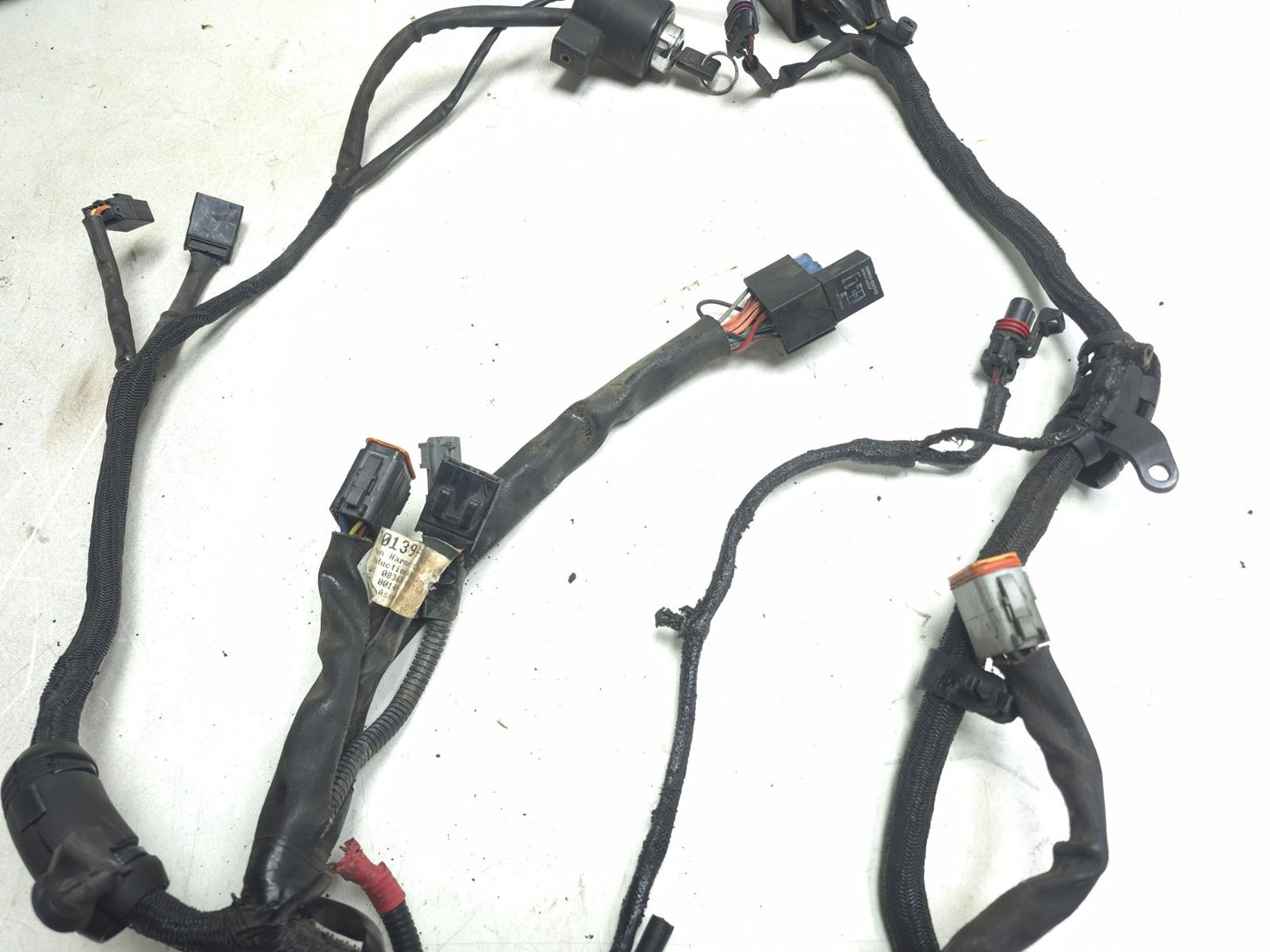 2004 Harley-davidson Sportster Xl883 Main Wire Harness OEM