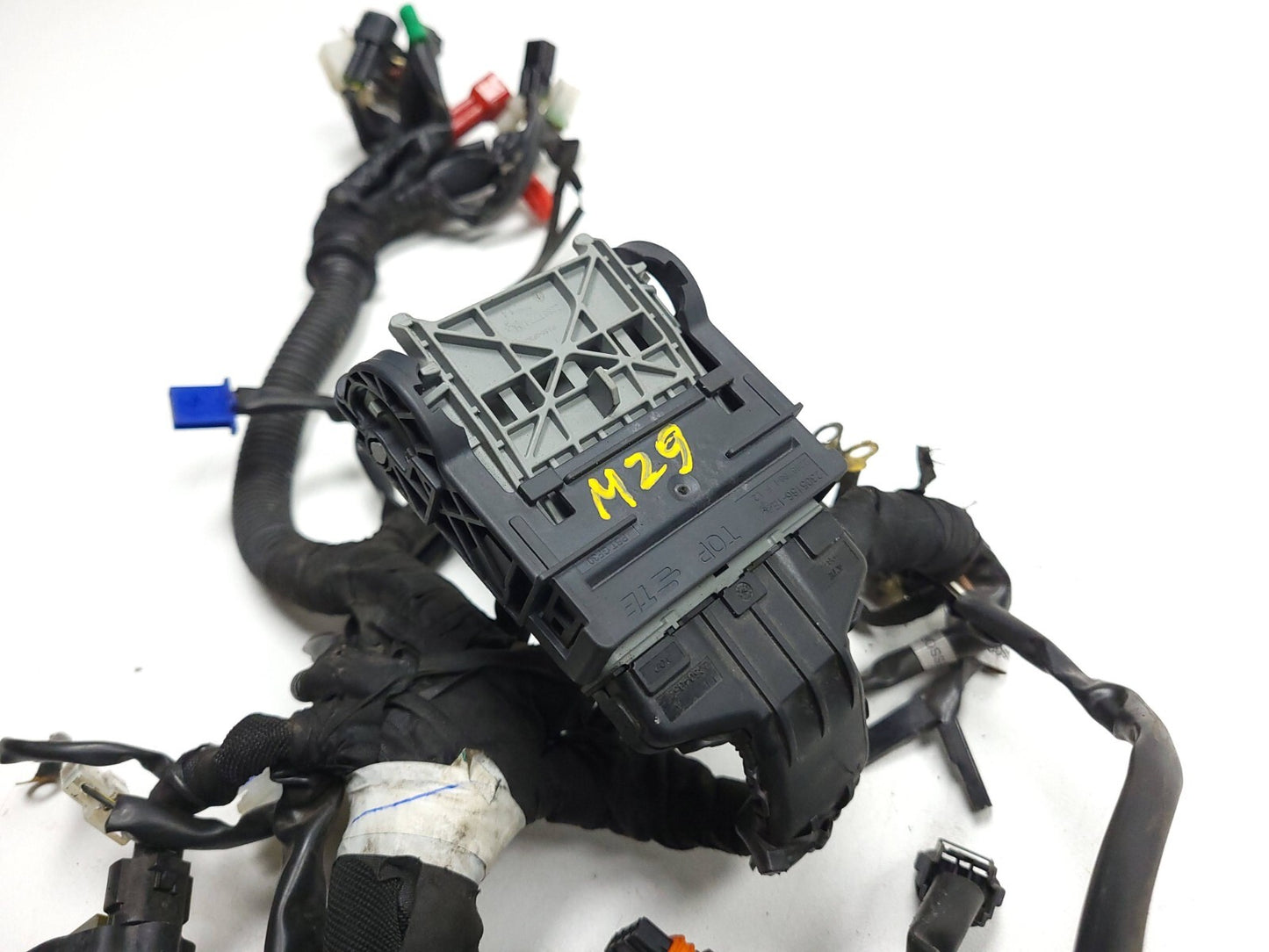 2020 Husqvarna Vitpilen 401 Main Engine Wire Harness OEM