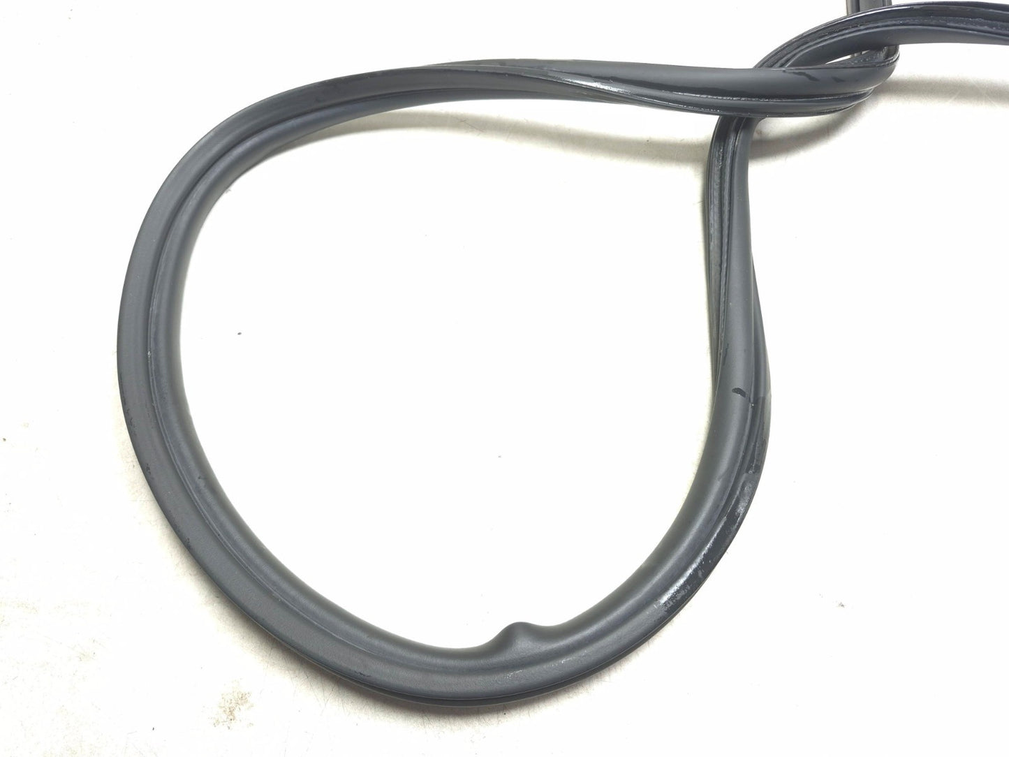 2019 Tesla Model 3 Rear Trunk Lid Weatherstrip Seal OEM