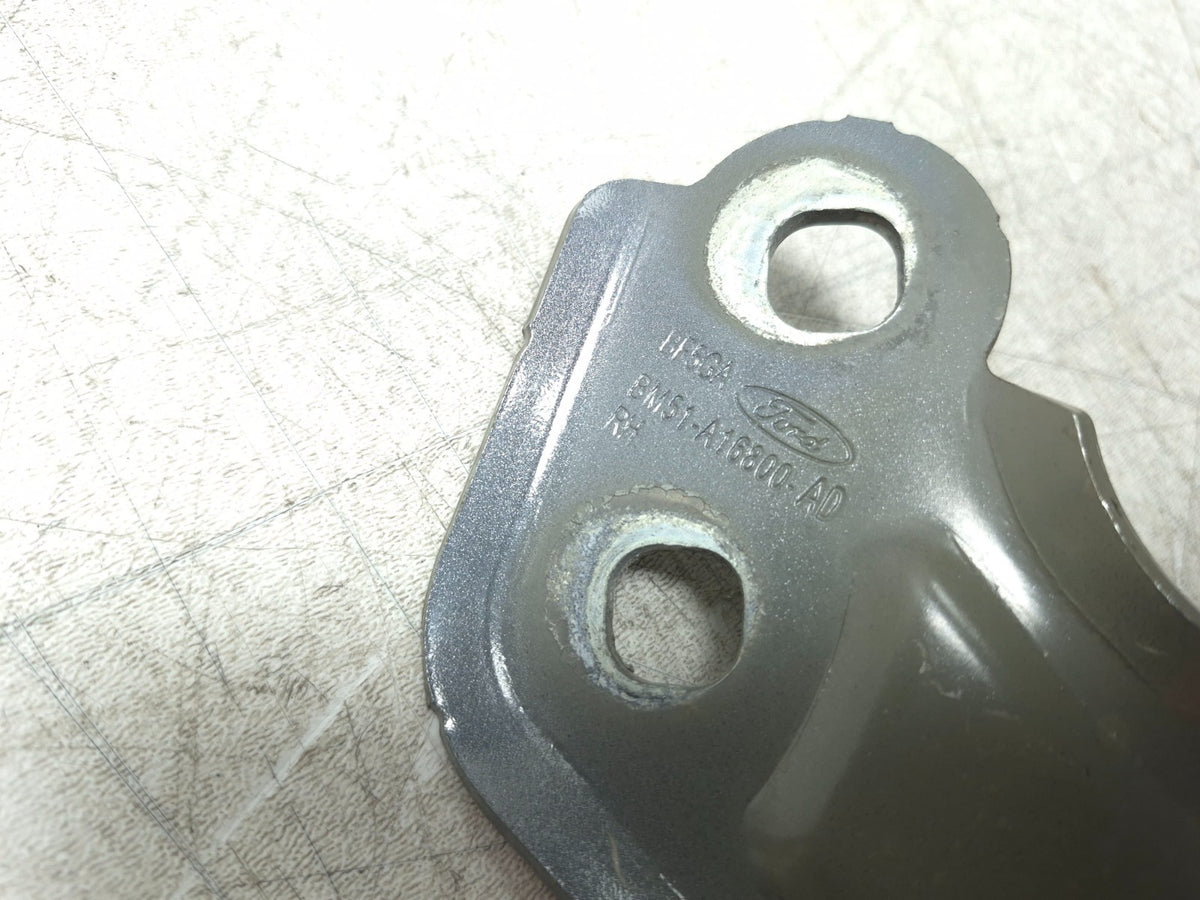 2017 Ford Focus Hood Hinge Left & Right Pair OEM