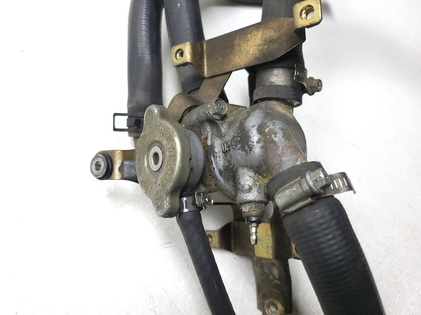 1987 1988 Honda Cbr1000f Thermostat & Hosing OEM