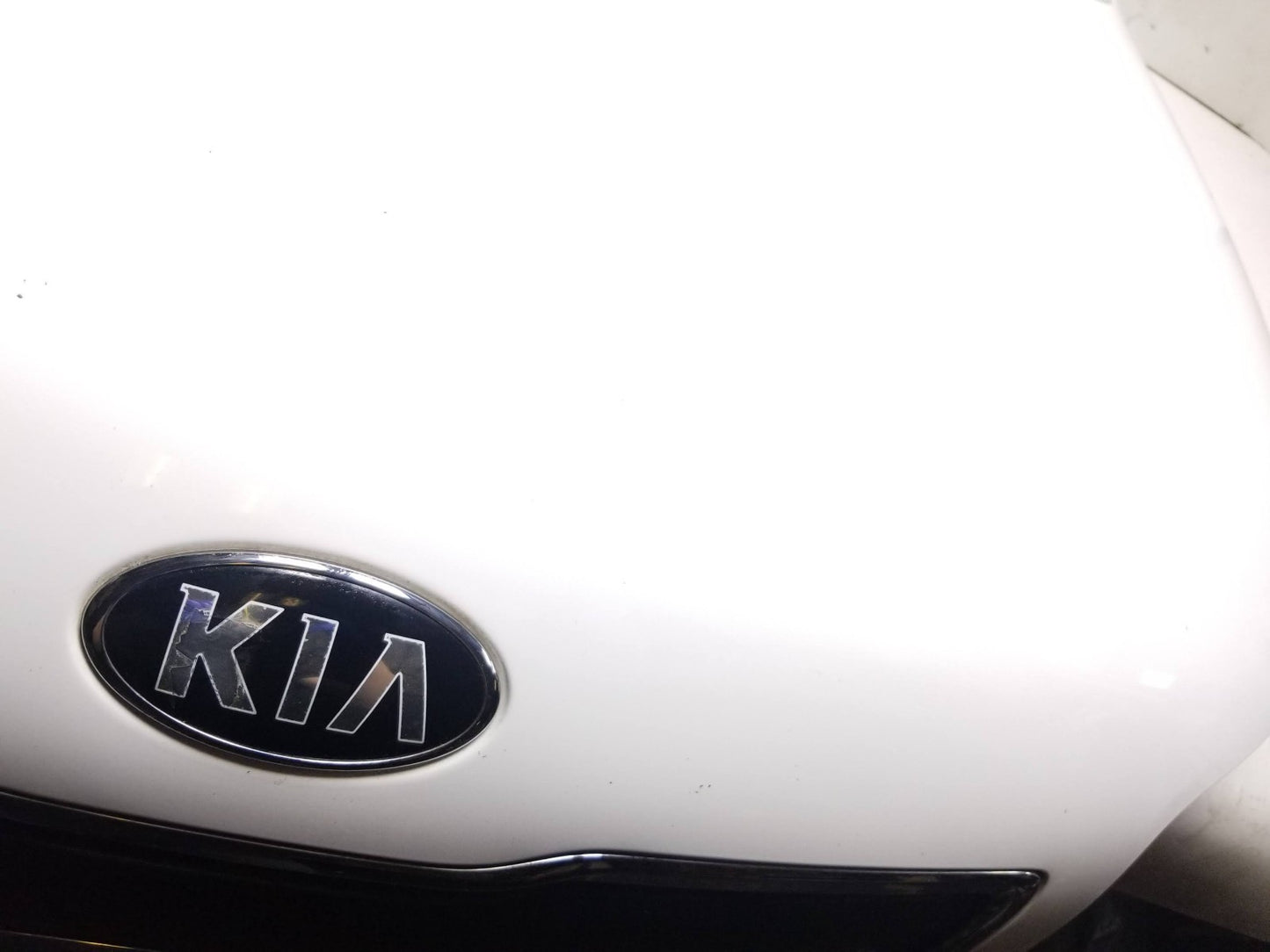 2015 Kia Soul Hood Panel OEM