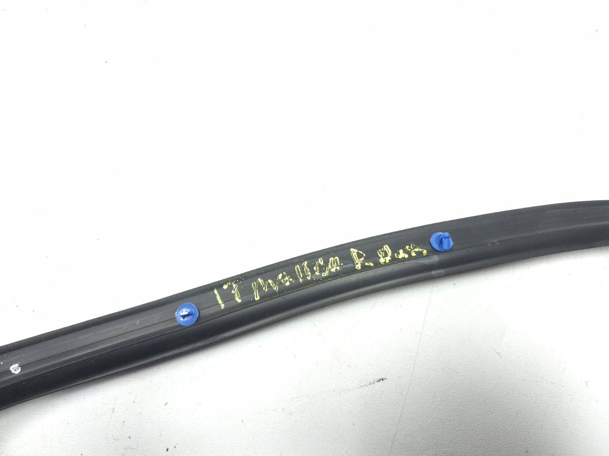 2017 Chevrolet Malibu Rear Passenger Door Weatherstrip Seal OEM