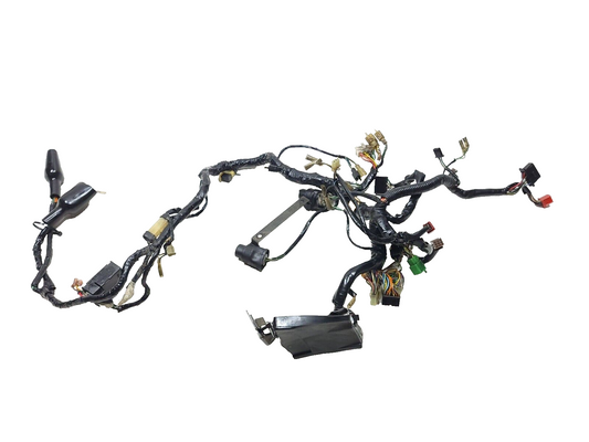 1984  Honda Gl1200 Goldwing Main Wire Harness 32100-mg9-670 OEM