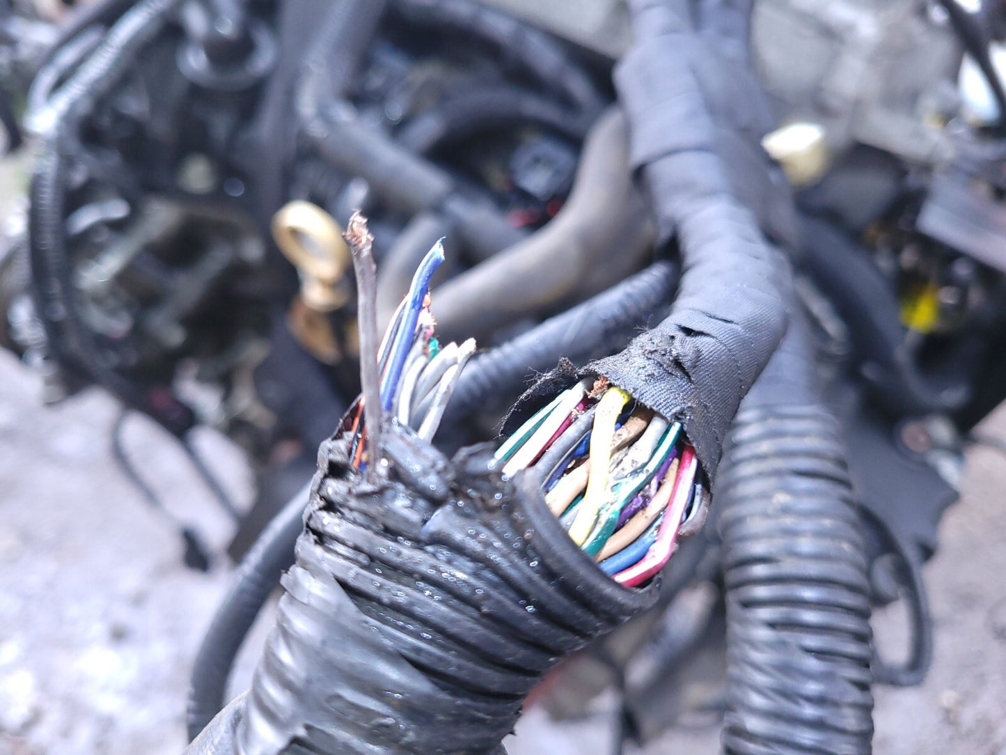 Cadillac CTS Engine 2008 2009 2010 2011 2012 2013 3.6l Code Llt β
-need Harness!