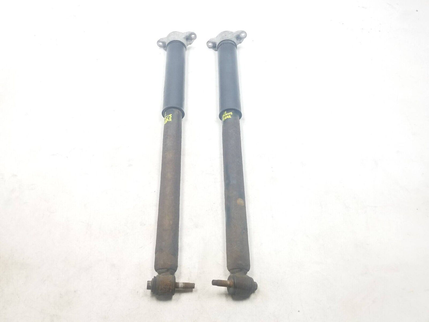 12 - 14 Ford Focus Rear Shock Strut Absorber Pair OEM