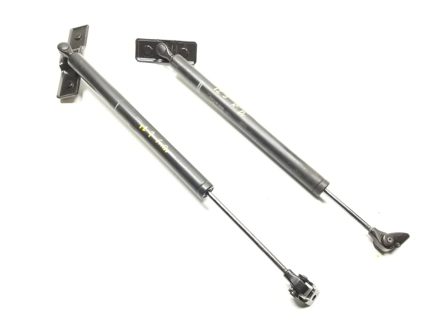 09 10 11 12 BMW 7 Trunk Lid Shock Strut Left & Right 2pcs OEM