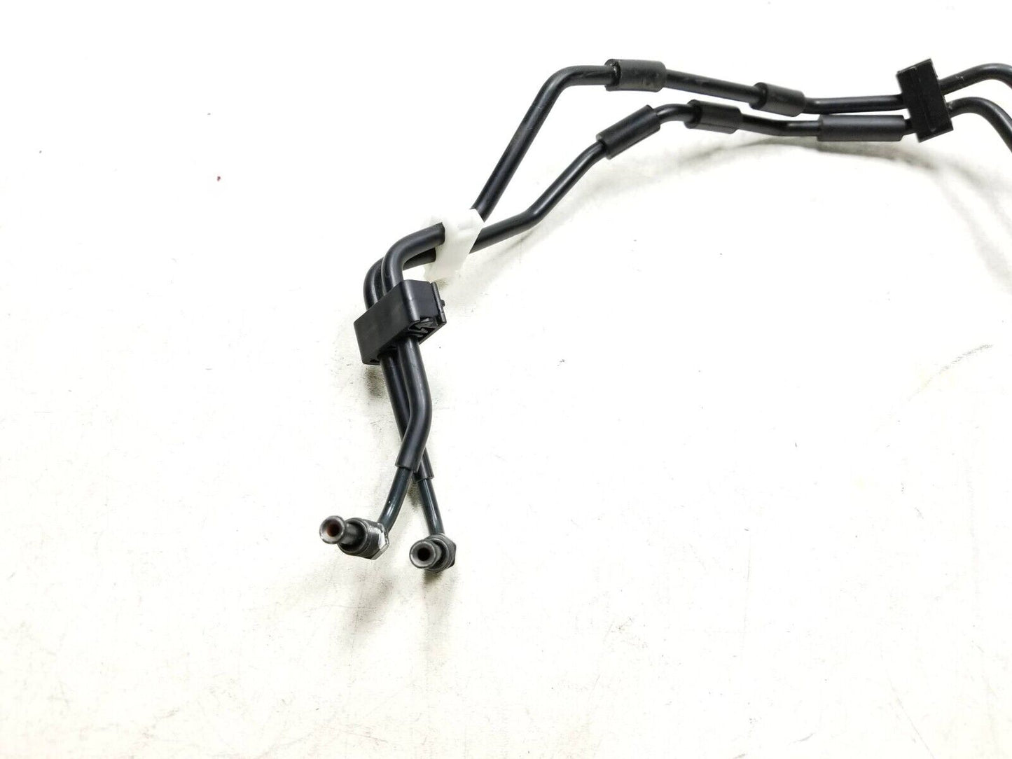 19 - 23 Honda Cbf300 Na Brake Hose Pipe Line Front & Rear OEM