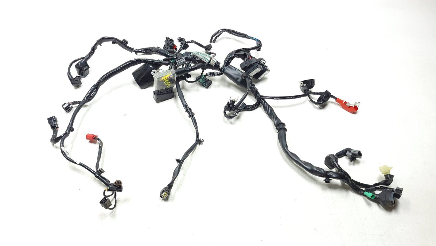 19-25 Honda Cbf300 Na Main Wire Harness W/ Yaw Rate Sensor OEM 264 Miles