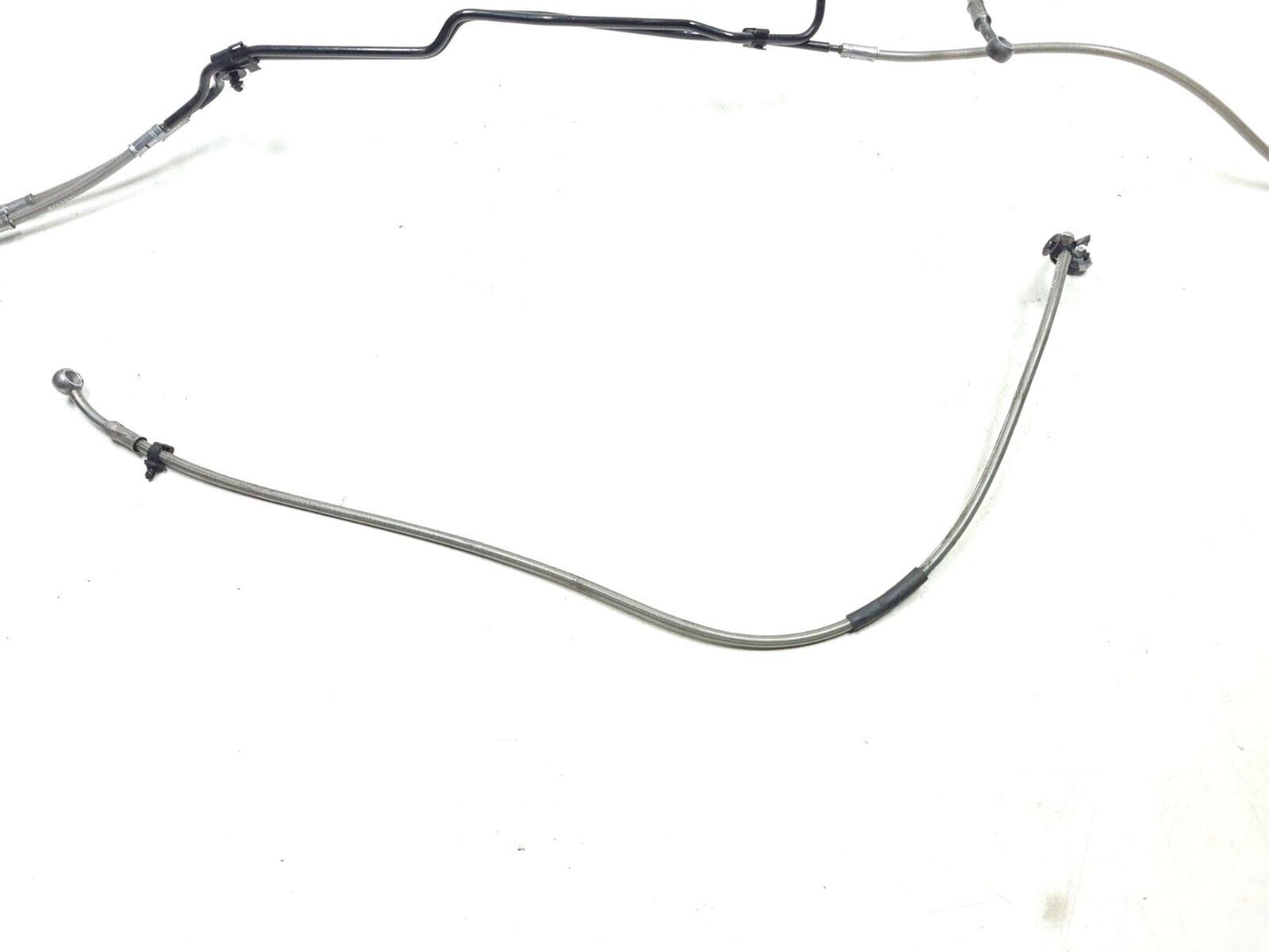 2021 - 2024 BMW G310 Gs Rear Brake Line OEM