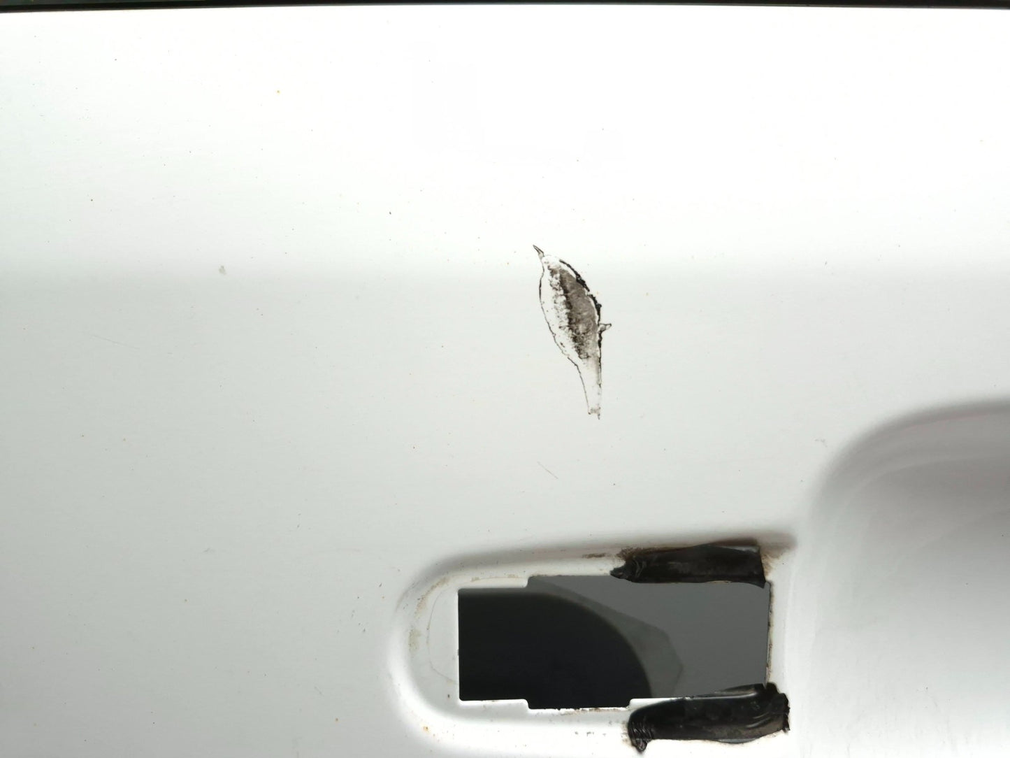 2016 Ford Transit Connect Rear Back Door Passenger Side