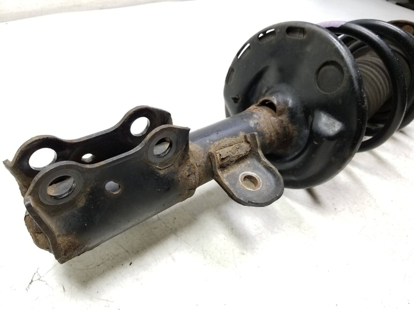 08 - 15 Scion Xb Front Shock Strut Absorber Passenger Side Right OEM