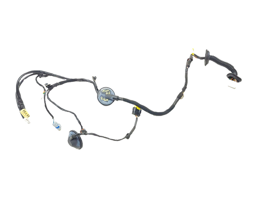 09-14 Hyundai Genesis Door Wire Harness Rear Passenger Side Right OEM Sedan