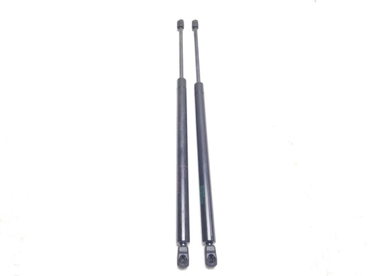2003 Ford Explorer Aviator Liftgate Lift Support Pair OEM