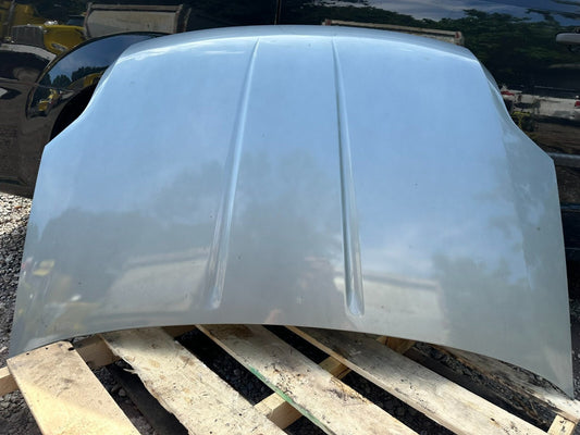 07 08 09 10 11 Nissna Sentra Hood Oem.