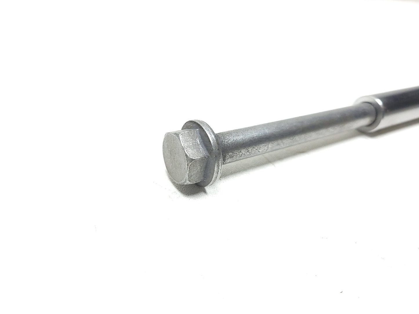 2021 - 2024 BMW G310 Gs Swingarm Axle Bolt OEM