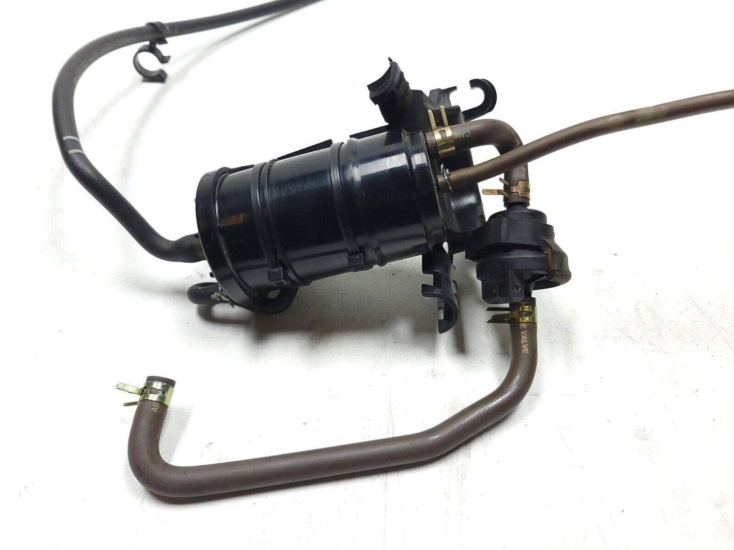 2017 - 2024 BMW G310r G310gs Vapor Charcoal Canister Evap OEM