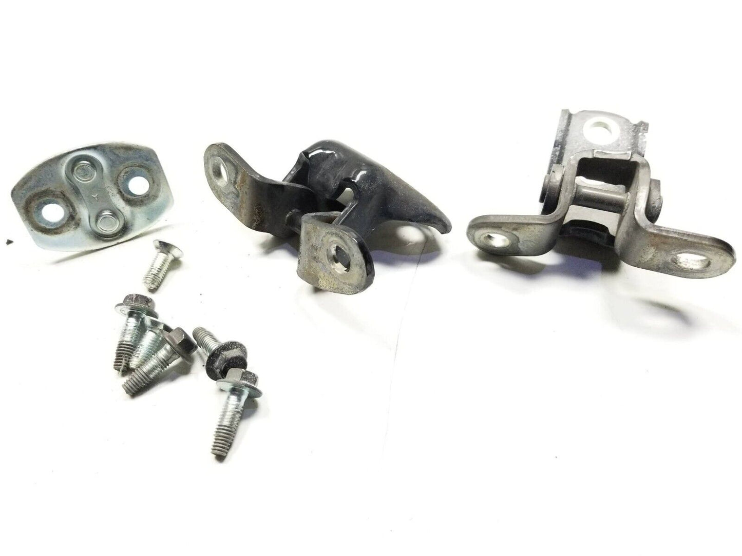 11 12 13 14 15 16 Scion Tc Door Hinge Passenger Side Right OEM