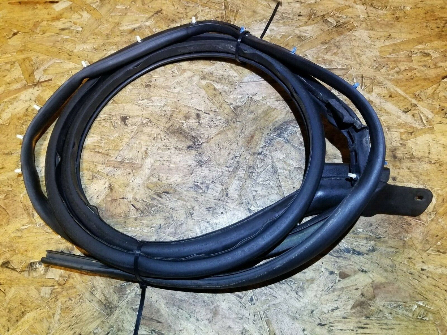 06 07 08 09 Cadillac SRX Front Right Pass Side Door Glass Weatherstrip Seal OEM