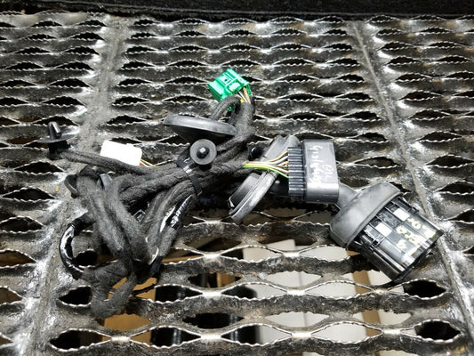 18 19 20 Ford Ecosport Rear Left Driver Side Door Wire Harness OEM 532 Miles!