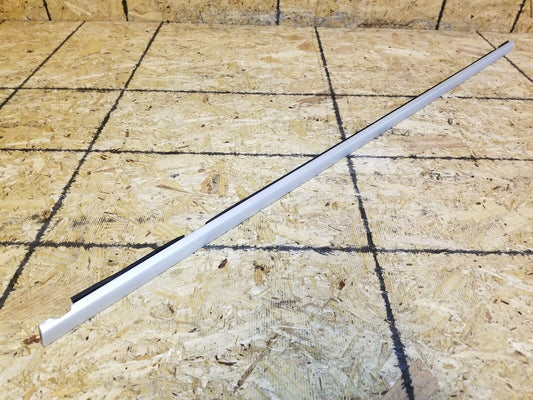 04 05 06 Porsche Cayenne Front Left Driver Door Window Seal Belt Molding OEM