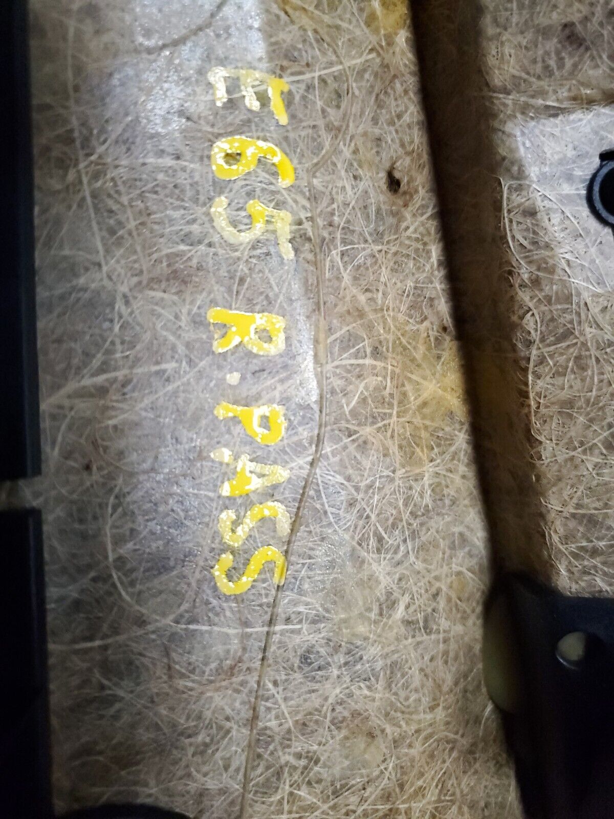 02 03 04 05 BMW 745i E65 Rear Door Trim Panel Right Passenger Side OEM