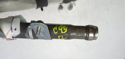 2017 - 2023 Tesla Model 3 Left Driver Side Roof Curtain Airbag SRS Air Bag 1077827-00-E OEM