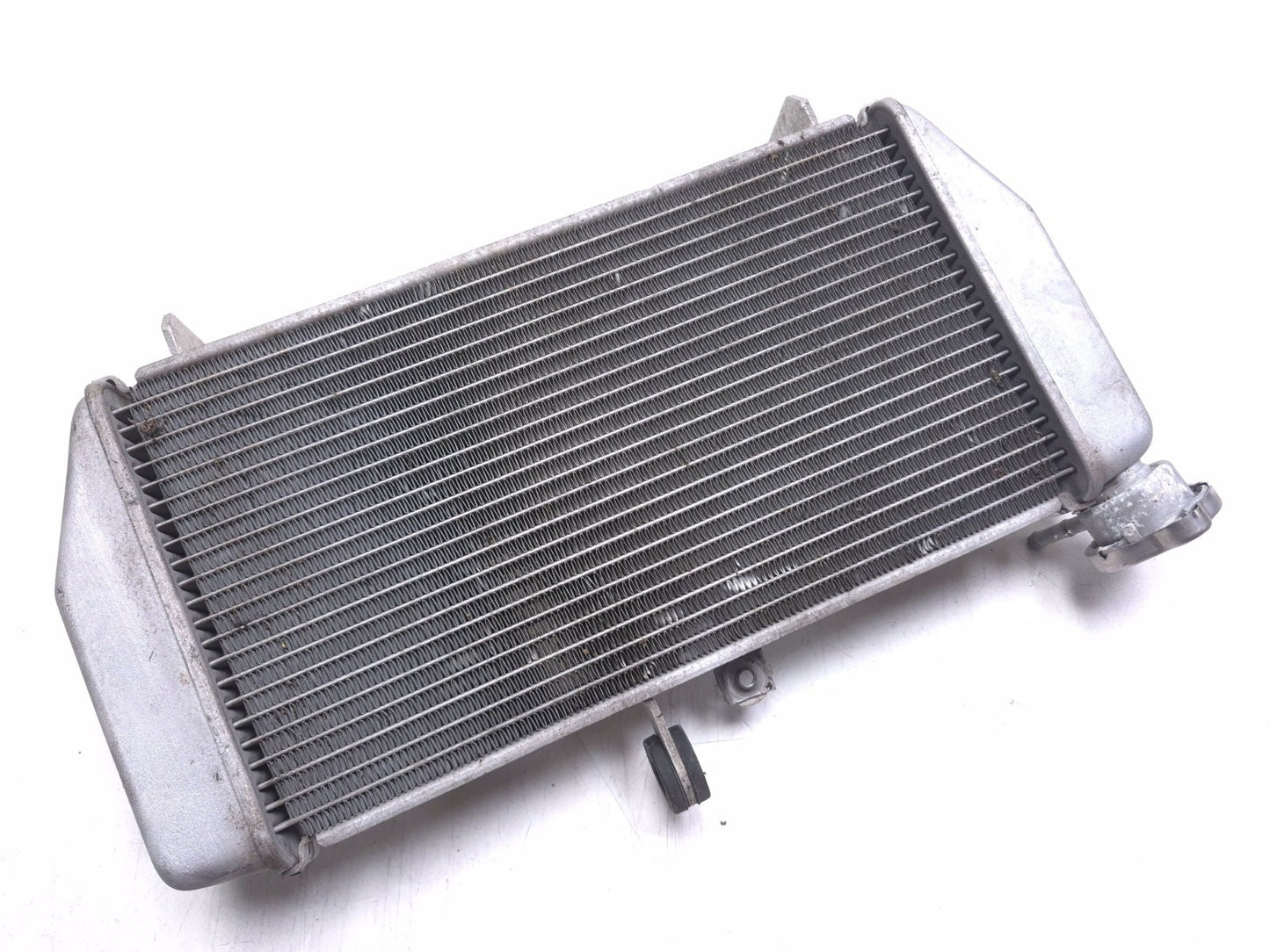 2016 Yamaha Yzf R3 Radiator OEM