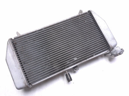 2016 Yamaha Yzf R3 Radiator OEM