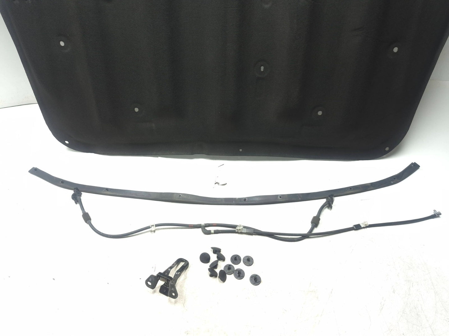 2009 Lexus IS250 Hood Insulator Pad & Wiper Nozzle OEM