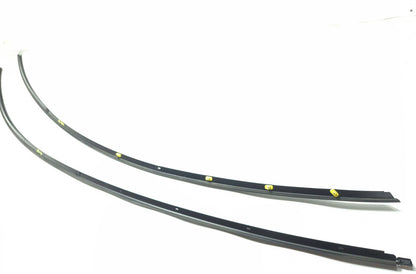 2022 Tesla Model 3 Exterior Roof Trim Molding Left & Right OEM