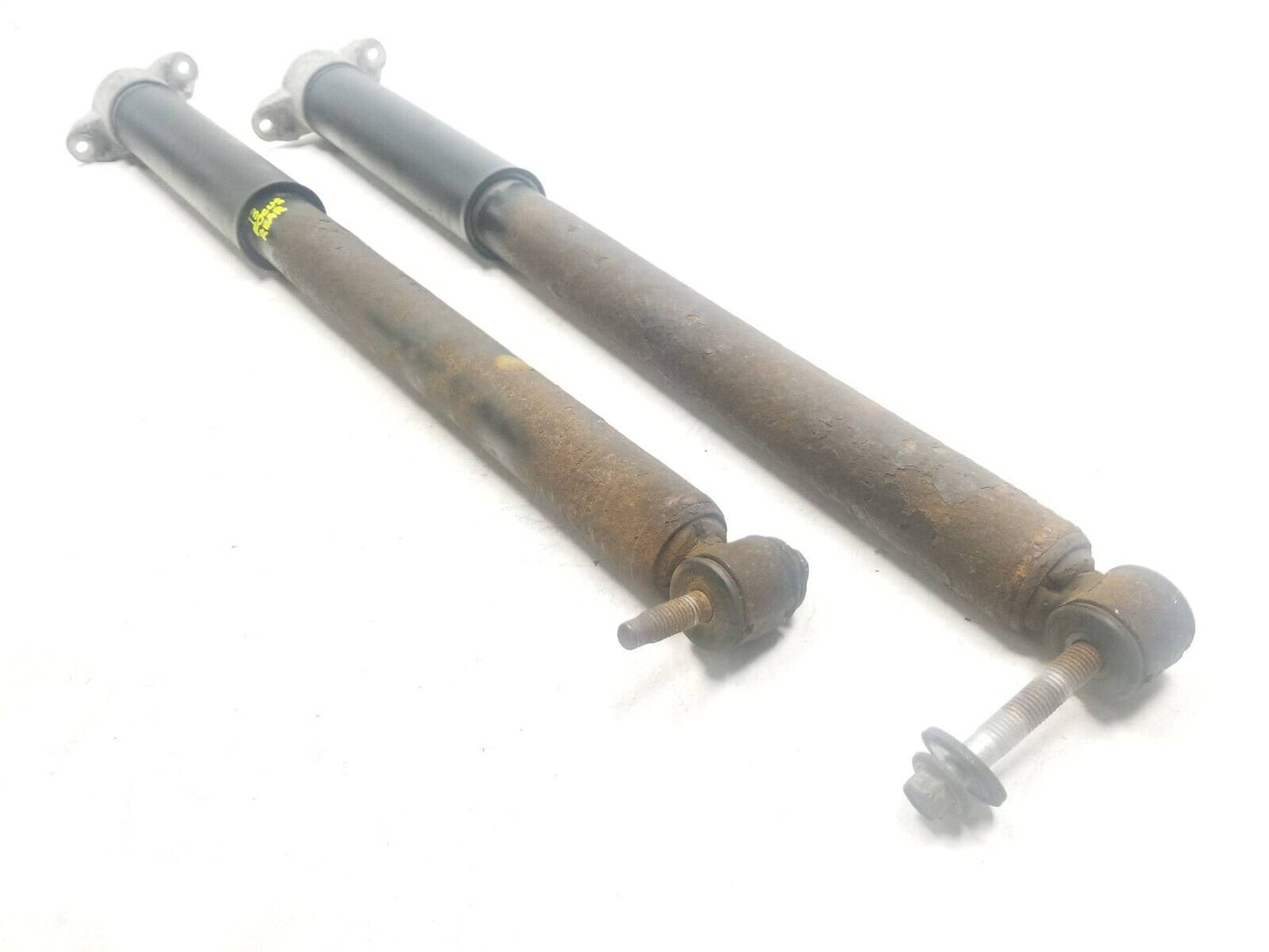 12 - 14 Ford Focus Rear Shock Strut Absorber Pair OEM