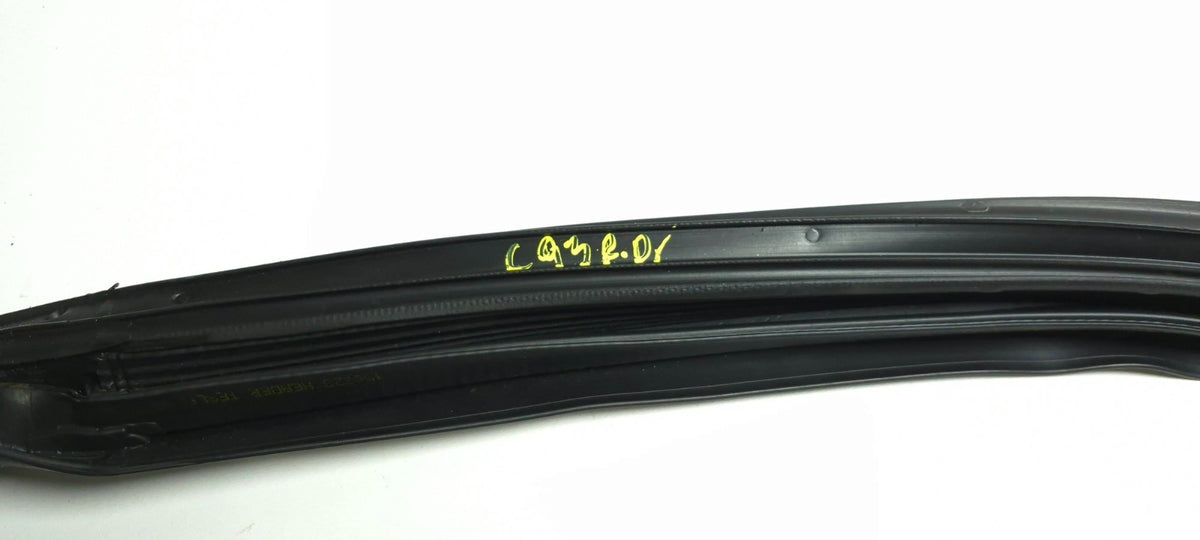 2021 Tesla Model 3 Rear Door Window Belt Molding & Door Seal Driver Side 3pcsoem