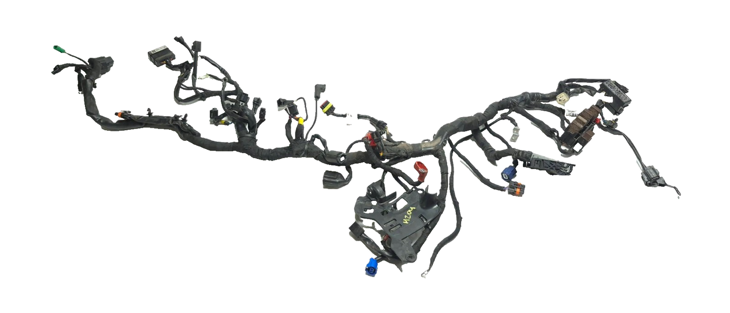 2024 Triumph Speed 400 Main Wire Harness OEM