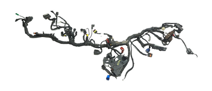 2024 Triumph Speed 400 Main Wire Harness OEM