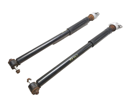 2019 Ford Ecosport Rear Shock Strut Absorber Pair OEM